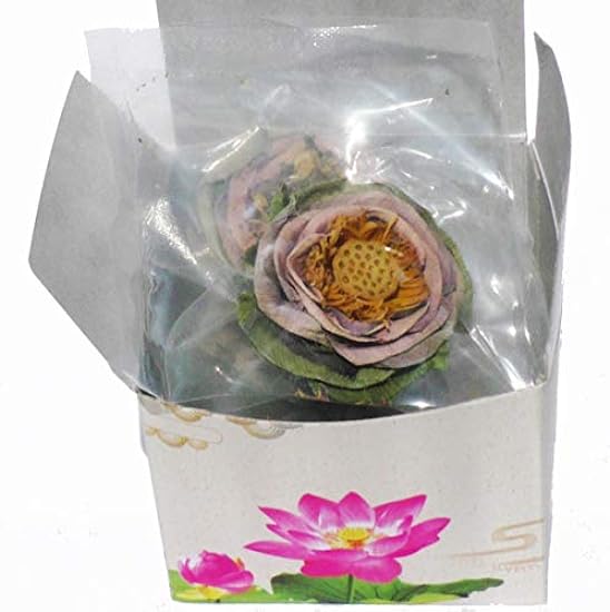 Tea Lotus Flower Tea Herbal Dried Whole Blossom - 5 per Box 921330518 Tea Lotus Flower Tea Herbal Dried Whole Blossom - 5 per Box 921330518